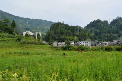 昭通市棚户区改造项目